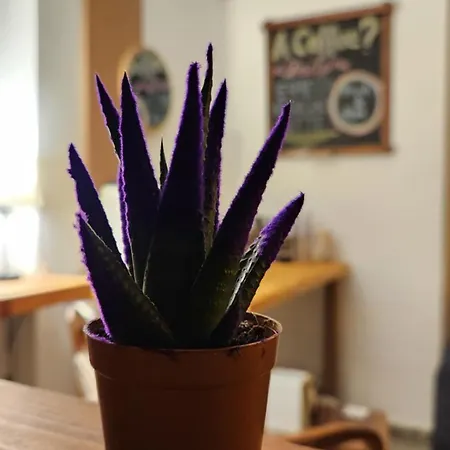 Aparthotel Irem Marmaris