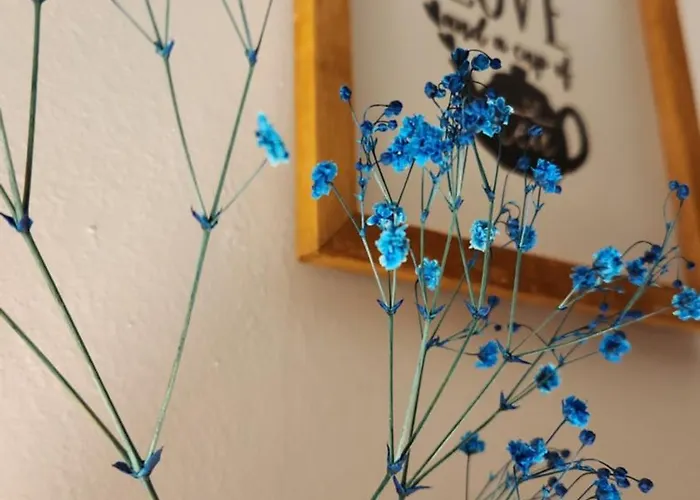 Irem מלון דירות