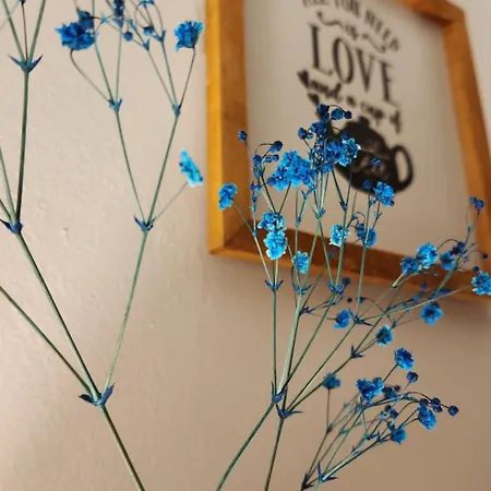 Irem Apartmanhotel